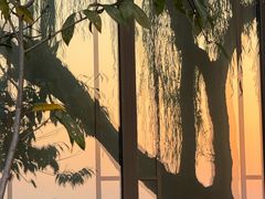 -杭州君悦酒店