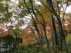 -常寂光寺