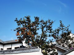 -北寺塔