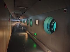-白鹤梁水下博物馆