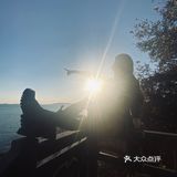 不经意的发现身边的小美好，随手拾起一片落叶