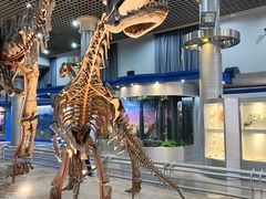 -国家自然博物馆