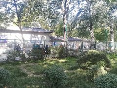 -莲花池公园