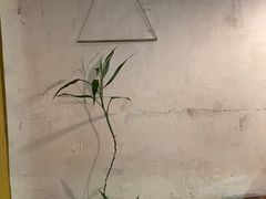 -春庄咖啡SpringHues(钟楼小区店)
