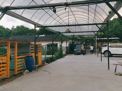 -美家乐农庄·露营·团建(大治路店)