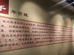 -宣化博物馆