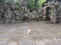 -西园戒幢律寺