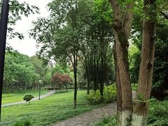 -重庆彩云湖湿地公园