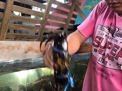 大肉蟹-美香海鲜饭店