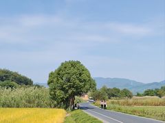 -良渚古城遗址公园