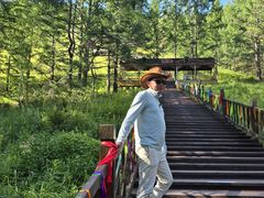 -莫尔道嘎国家森林公园