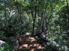 -大岭沟猕猴桃谷风景区
