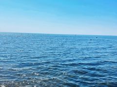 -大连金石滩滨海国家地质公园