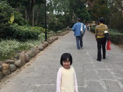 -永安龟山公园
