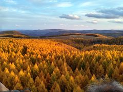 -塞罕坝国家级自然保护区