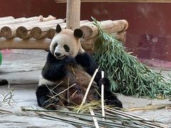 -杭州野生动物世界