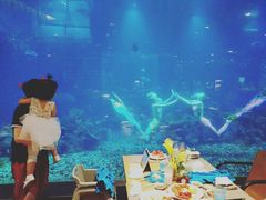 -海棠湾洲际-涛·海底餐厅·美人鱼·自助餐·海底隧道