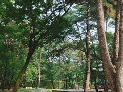 -沈阳市东陵公园