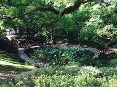 -香港大学