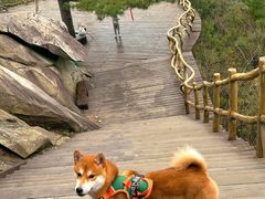 -罗田薄刀峰风景区