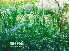 -柳鹭田园区