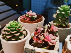 -無境·匠心日本料理(汉街店)