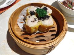 -点都德·毕德寮