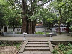 -西湖风景区十里琅珰-五云山