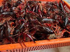 -辣不怕口味虾(凌霄路店)