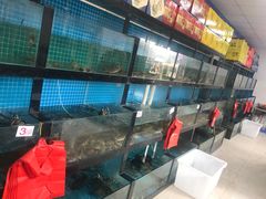 水产区-上海浦南农副产品批发市场