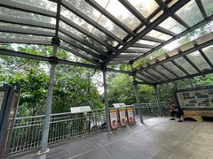-佛山华盖山公园