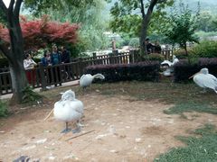 -无锡动物园·太湖欢乐园