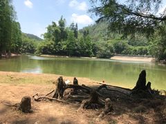 -滴水岩森林公园