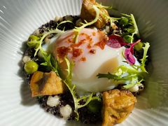 61.5‘温泉蛋-领仕扒房(长春店)