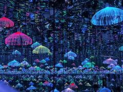 -深圳独角兽星空艺术馆