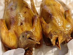 -大鸽饭(岗顶店)