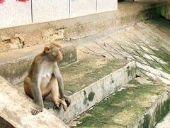 -广西龙虎山风景区
