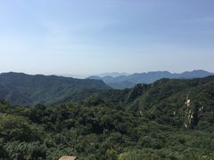 -大岭沟猕猴桃谷风景区
