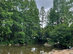 -苏州河梦清园环保主题公园