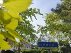-八大关景区