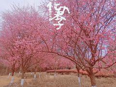 -观山湖公园