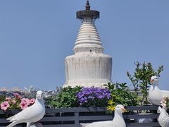 -妙应寺白塔