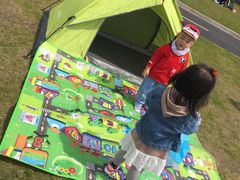 -春花秋色城市公园