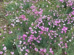 -汉长安城未央宫国家考古遗址公园