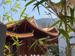-深圳仙湖植物园