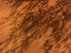 -秋天里·自助烤肉·火锅(乐海城市广场店)