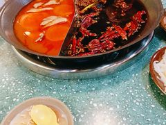 鸳鸯锅-雾都嘟重庆老火锅