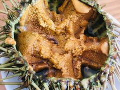 -海胆小馆(东北水饺·春柳店)