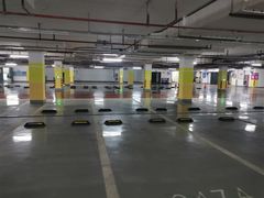 -上海佘山国家森林公园西佘山园