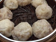 -百年尹氏汤包(环球美食荟店)